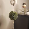 Christmas Topiary