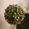 Christmas Topiary - Image 2
